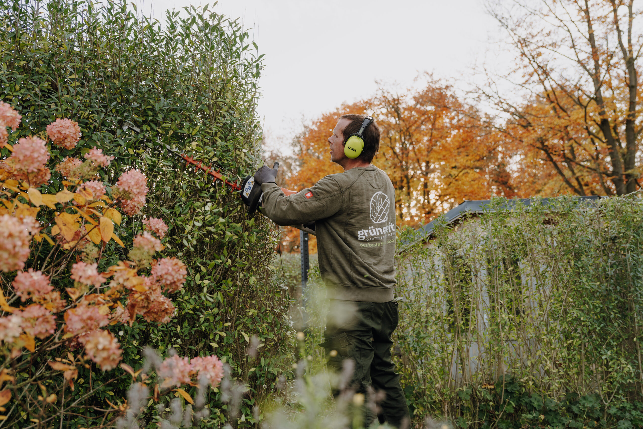 Mitarbeiter von grünezeit beim Heckenschnitt im Garten